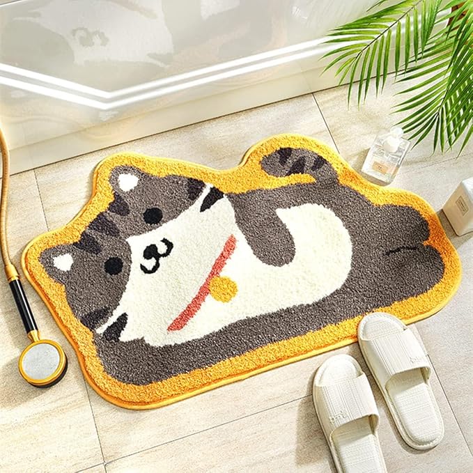 Super Soft door Mat Pack of 1